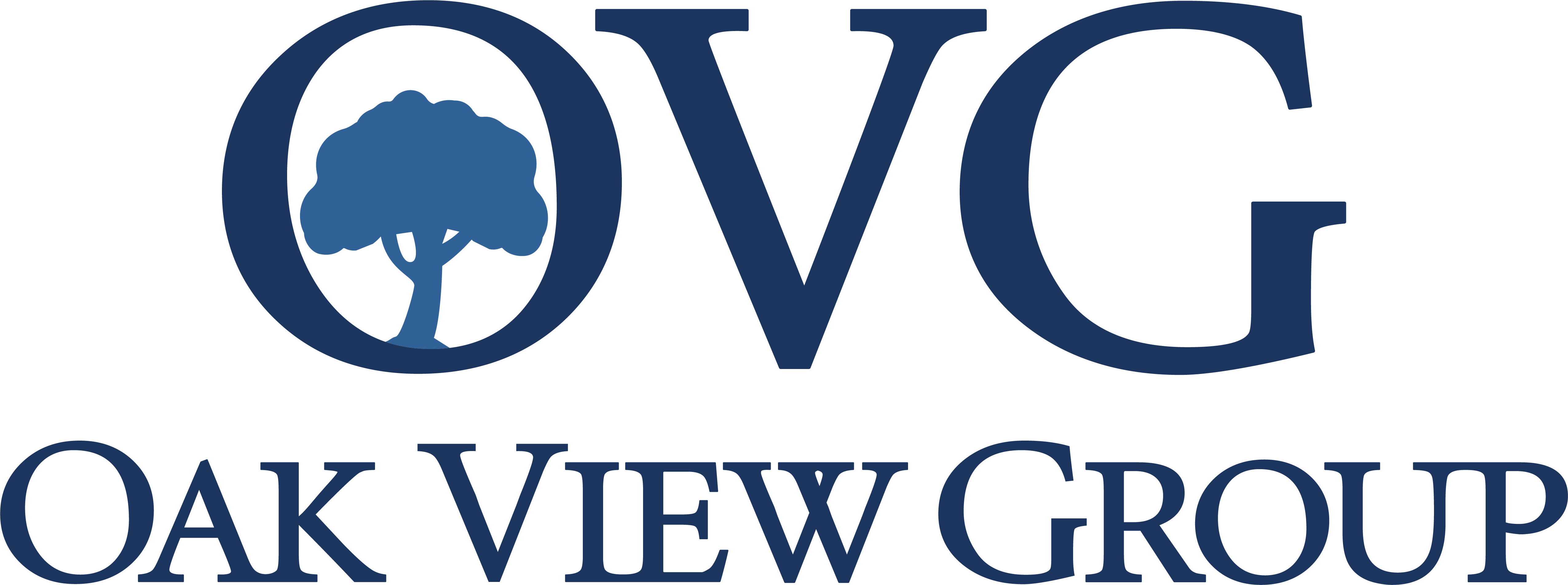 OVG Logo